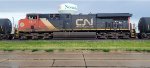 CN 3813
